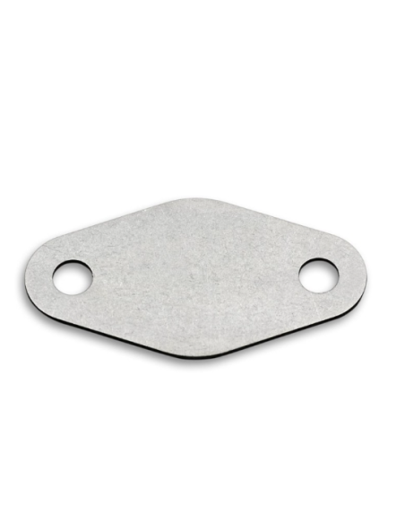 EGR paplāksneRenault Megane Scenic Mitsubishi Carisma Volvo V40 S40, F8QT